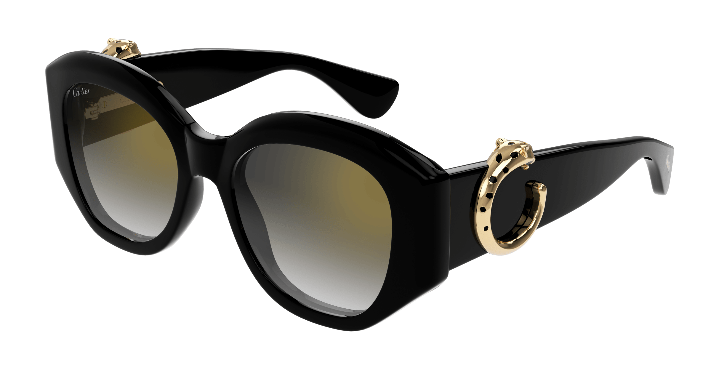 Cartier CT0502S