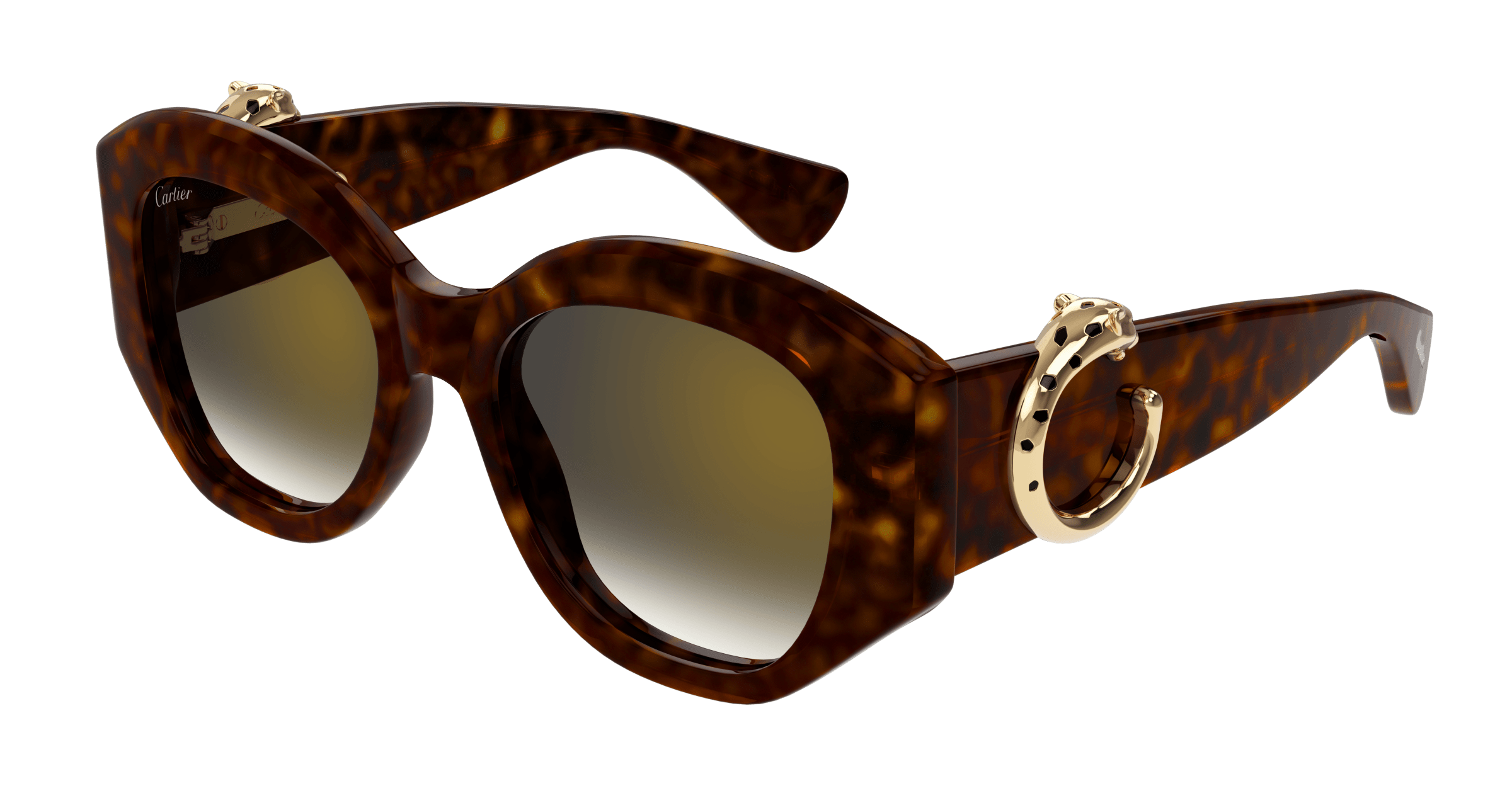 Cartier CT0502S