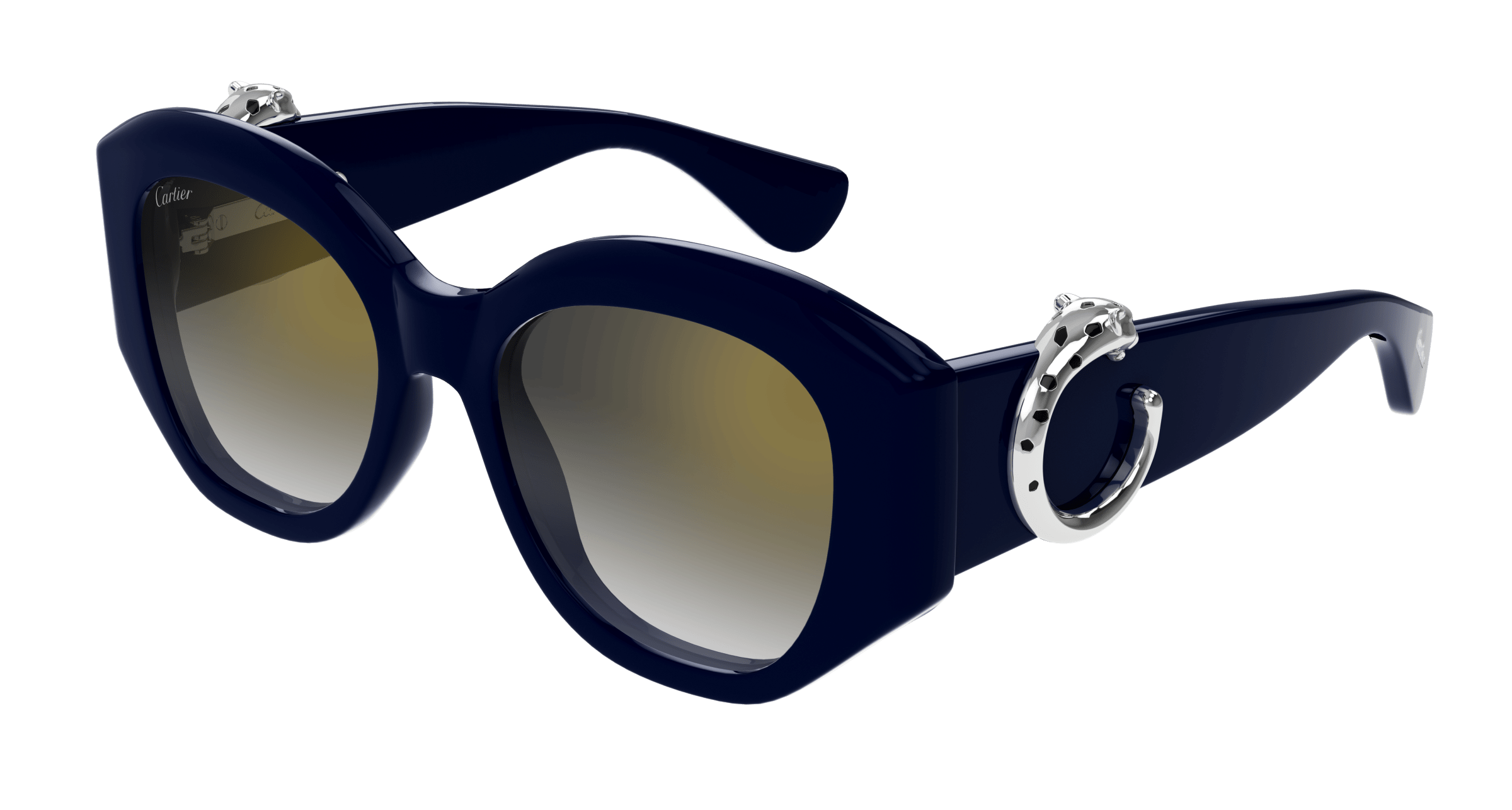Cartier CT0502S