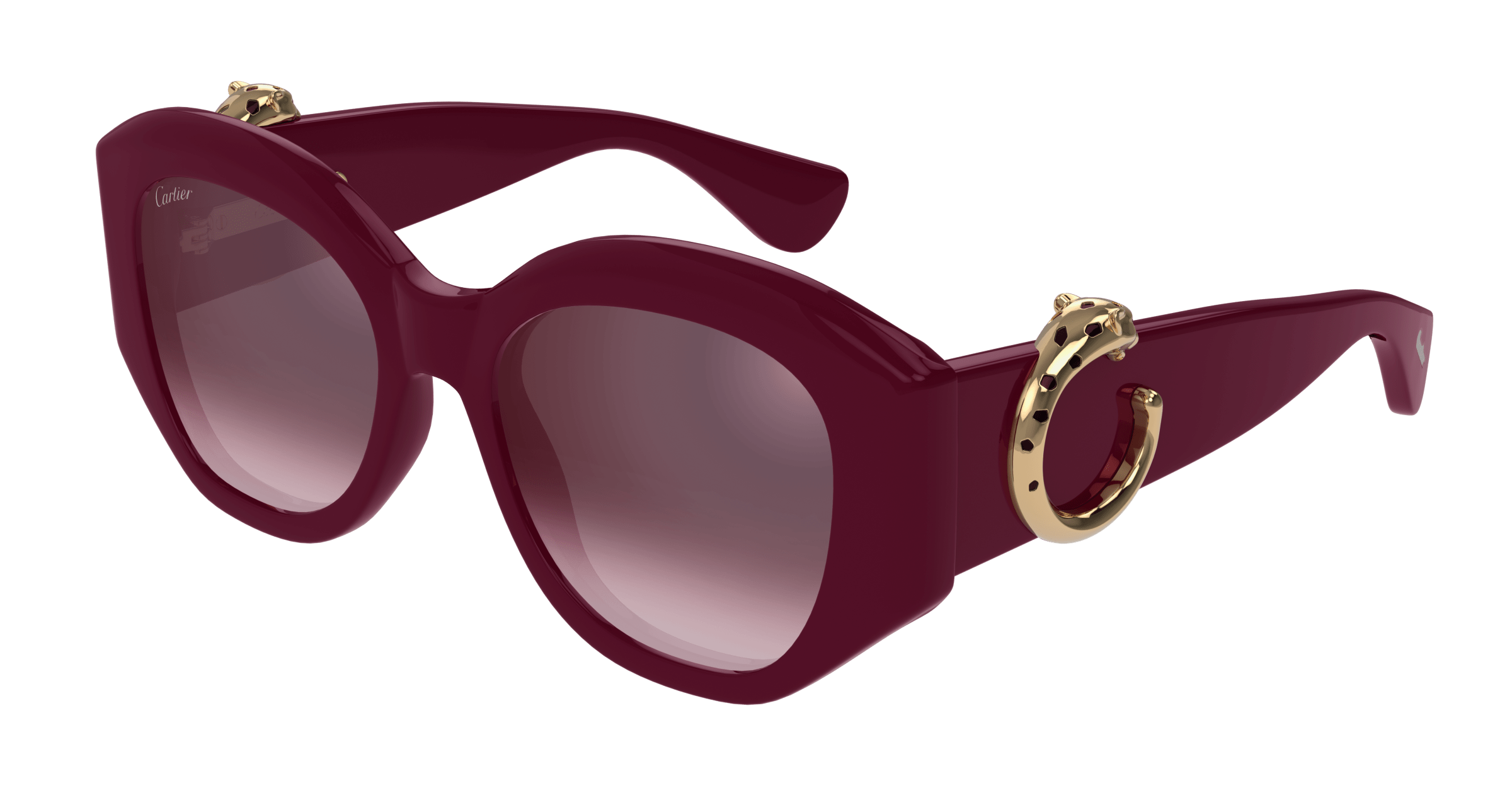 Cartier CT0502S