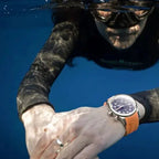 Maurice Lacroix  Pontos S Diver Men's Black Brown Watch