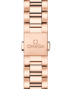 Seamaster Aqua Terra 150M