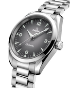 Seamaster Railmaster