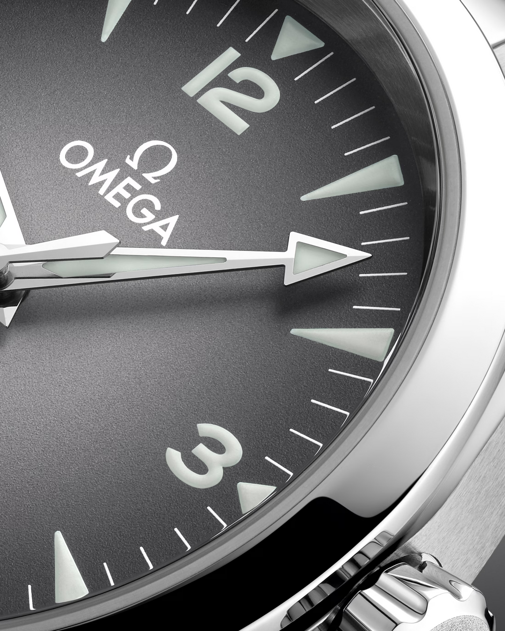 Seamaster Railmaster