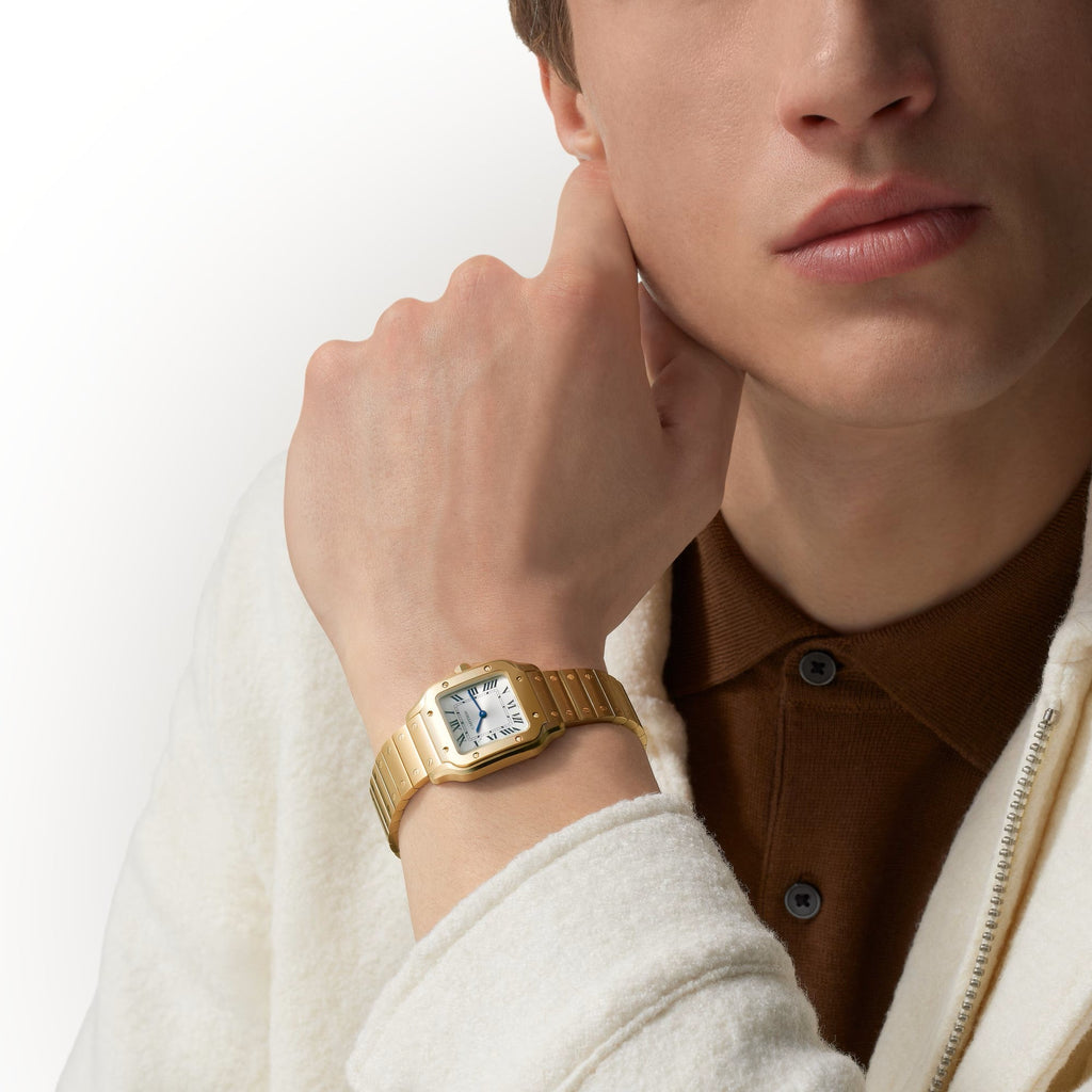 Santos De Cartier Small Model