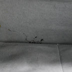 Senreve 'Maestra' Bag