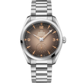 Seamaster Railmaster | 38mm, Stainless Steel, Brown Dial