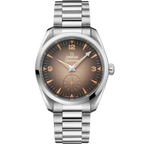 Seamaster Railmaster | 38mm, Stainless Steel, Brown Dial