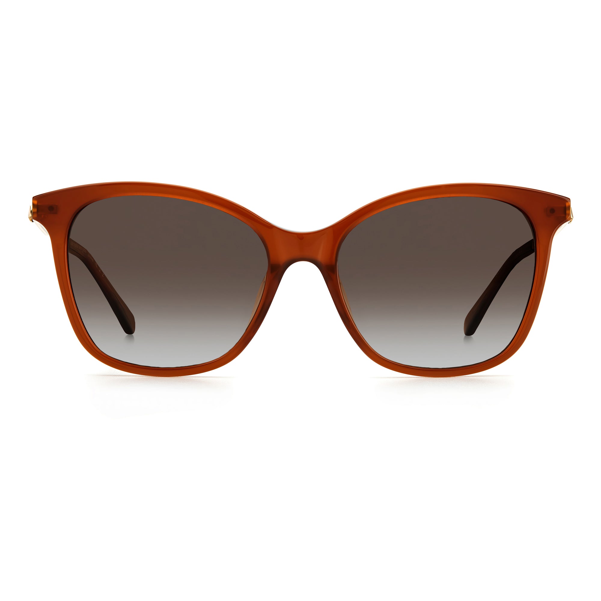 Kate Spade DALILA/S 09Q 54LA(KS9) Ladies" Brown Sunglasses