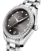 Seamaster Aqua Terra 150M