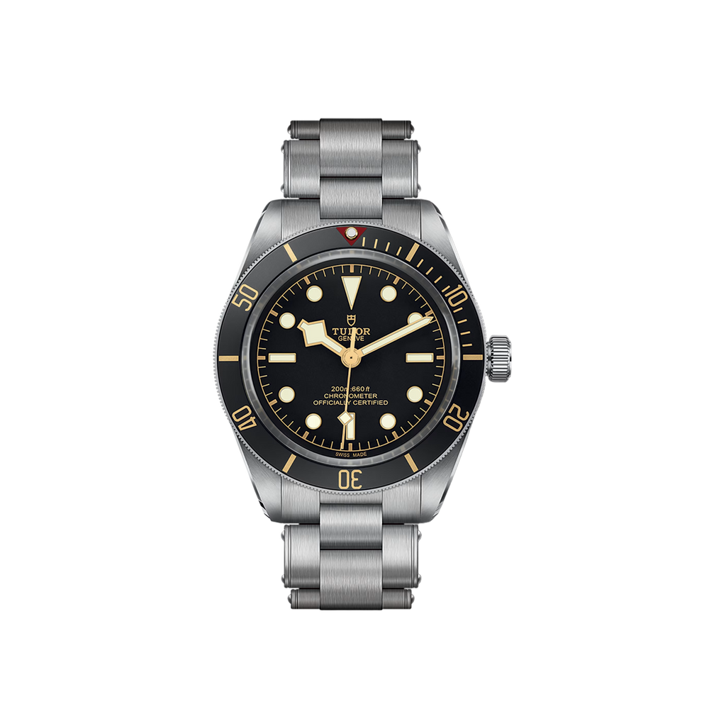 Tudor Black Bay 58 M79030N-0001