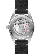 Seamaster Railmaster