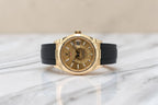 Rolex - Sky-Dweller - Champagne Dial - 336238 - 2024