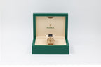Rolex - Sky-Dweller - Champagne Dial - 336238 - 2024