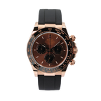 Rolex - Daytona - Chocolate Dial - 126515LN - 2026