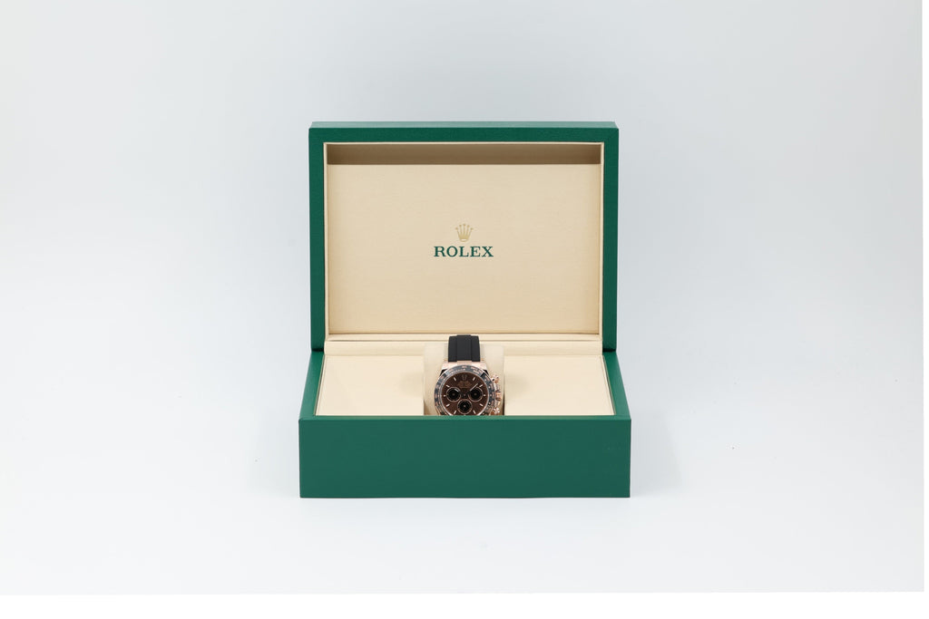 Rolex - Daytona - Chocolate Dial - 126515LN - 2026