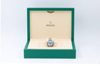 Rolex - Daytona - Ice Blue "Platona" - 126506 - 2025