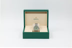 Rolex - Oyster Perpetual - Pistachio Dial - 134300 - 2025