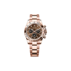 Rolex - Daytona - Chocolate Dial - 126505 - 2025