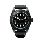 Tudor - Black Bay - Black Dial - 79210CNU - 2021