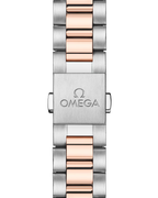 Seamaster Aqua Terra 150M